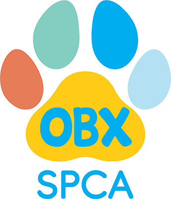 OBX SPCA Dare County Animal Shelter
