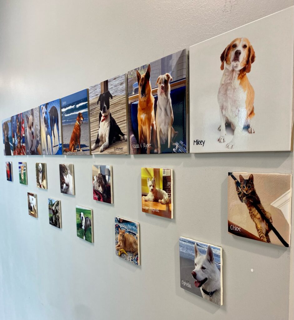 Tiles on display