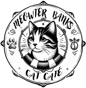 Meowter Banks Cat Cafe